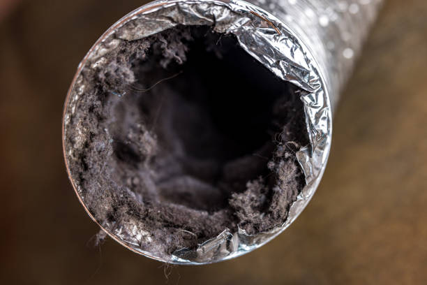 Best Ventilation Cleaning Services  in Wilder, KY