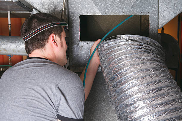 Best Air Duct Mold Removal  in Wilder, KY