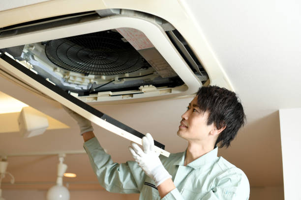 Best Air Vent Cleaning Services  in Wilder, KY